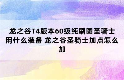 龙之谷T4版本60级纯刷图圣骑士用什么装备 龙之谷圣骑士加点怎么加